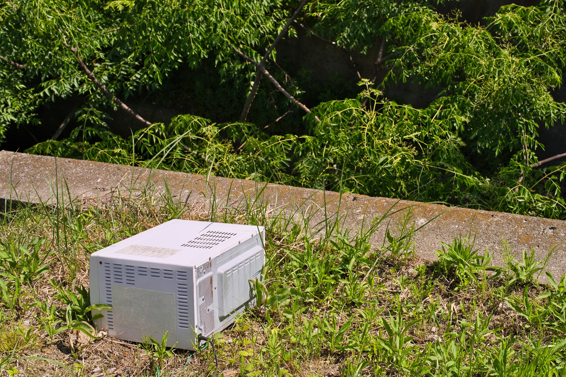 家の前のゴミを業者へ依頼する方法とは