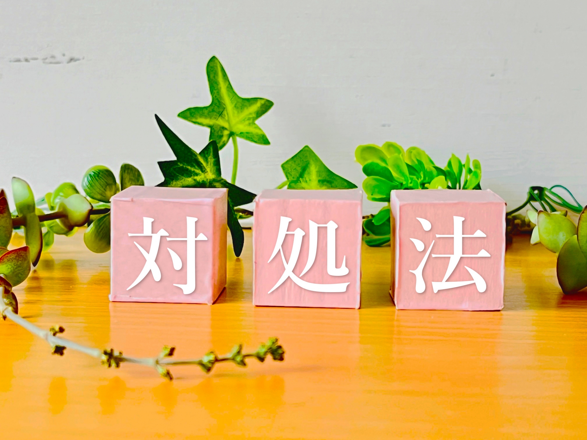 家の前にゴミを捨てられる時の対処法