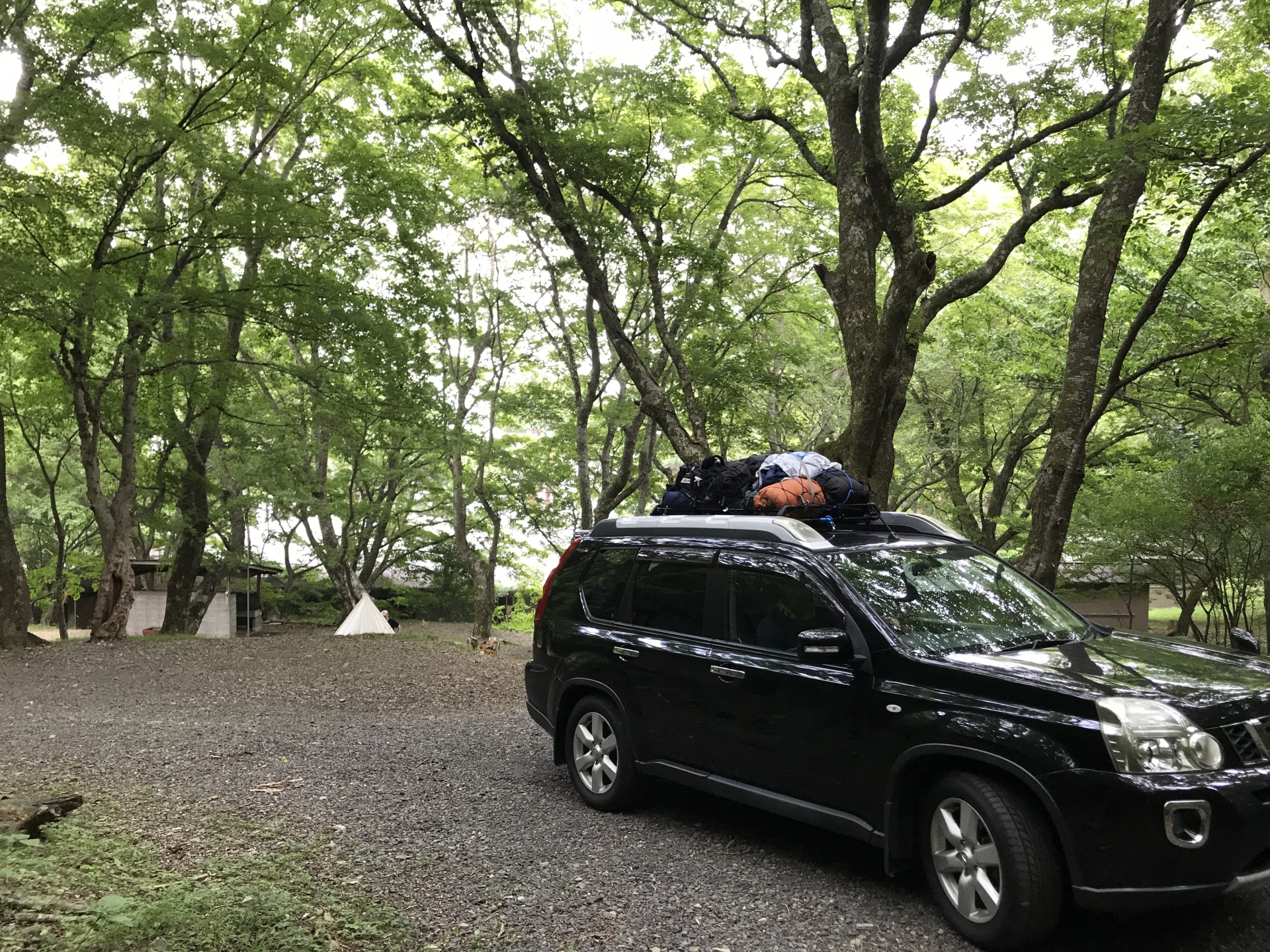 スキーキャリアを無料で手放す方法とは