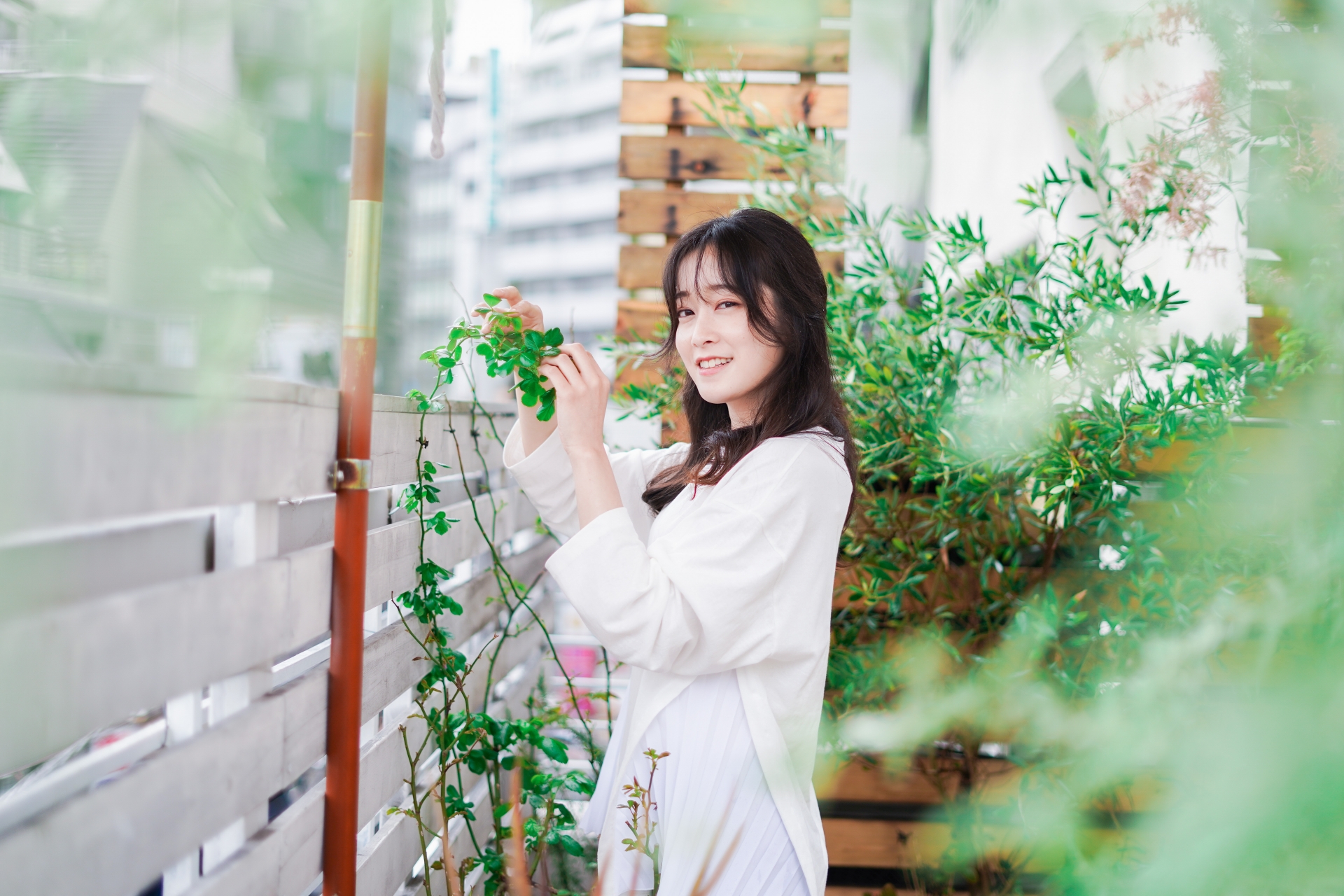 観葉植物の土の捨て方とは